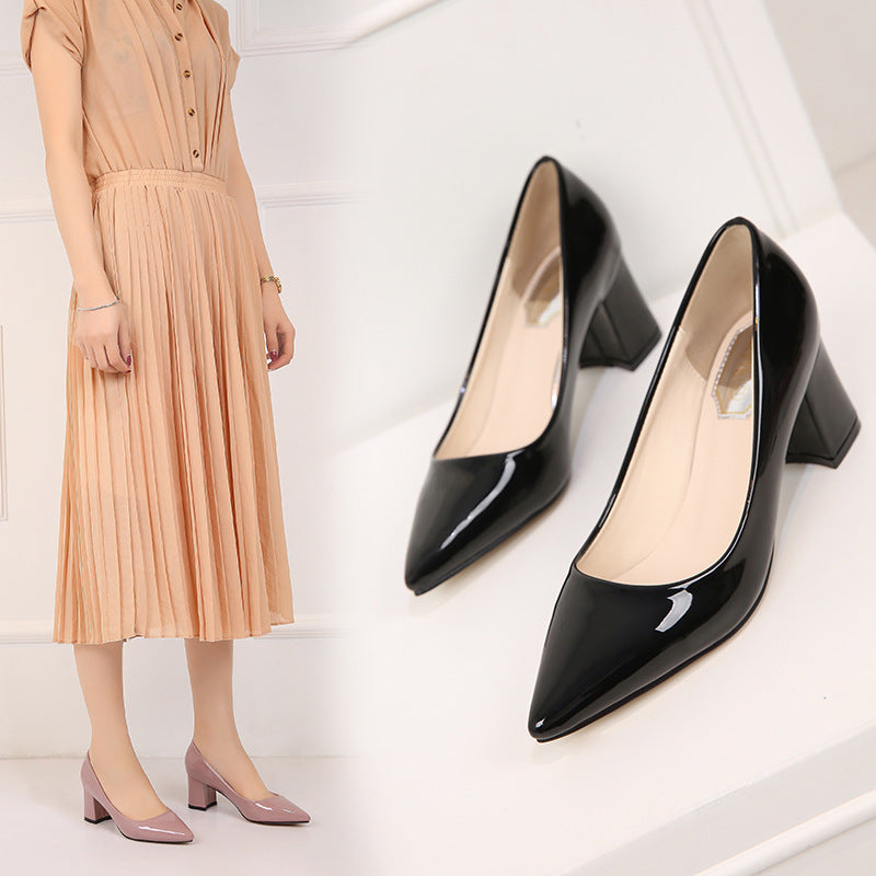 Pointed Chunky Heels