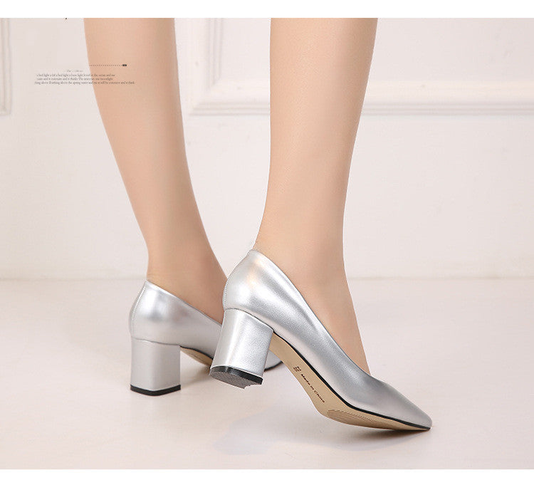 Pointed Chunky Heels