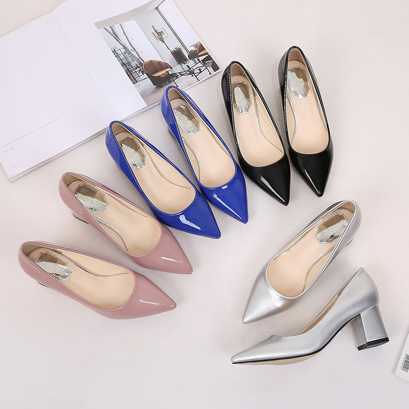 Pointed Chunky Heels